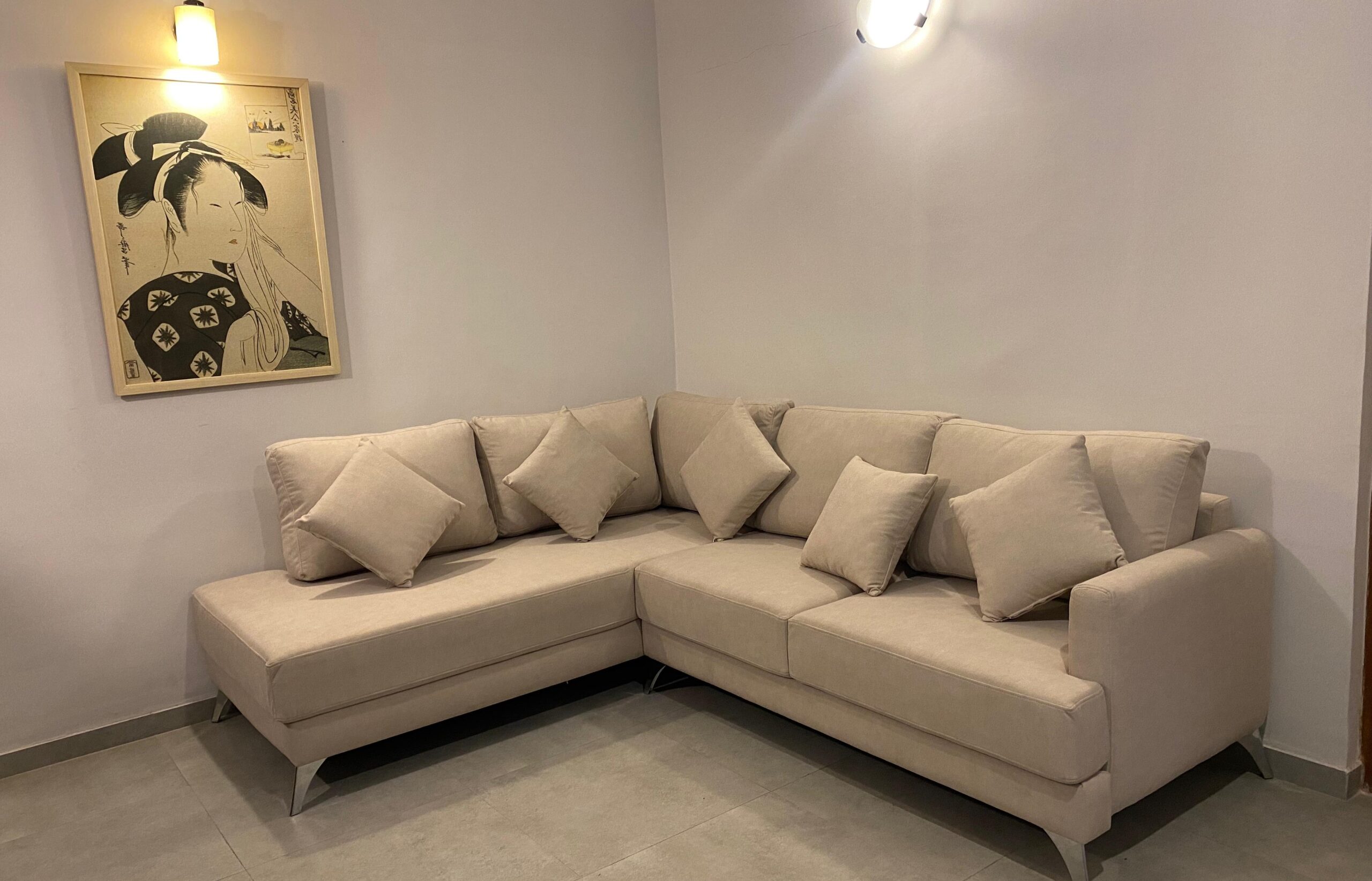 Luxury modern sofa set